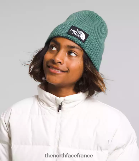 accessoire The North Face enfants bonnet à revers avec logo tnf sauge noire ZPZRD763
