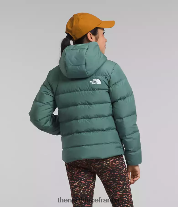 vêtements The North Face enfants doudoune réversible à capuche en duvet sauge noire ZPZRD628