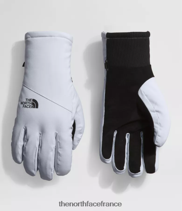 accessoire The North Face femmes gants shelbe raschel etip pervenche poussiéreuse ZPZRD859