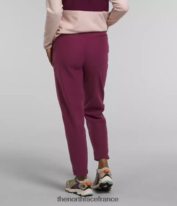 vêtements The North Face femmes pantalon alpin polartec 100 mûre de Boysen ZPZRD846