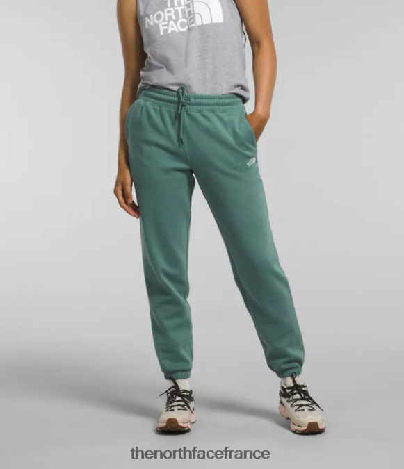 vêtements The North Face femmes pantalon de survêtement en molleton à demi-dôme sauge foncée/blanc tnf ZPZRD976