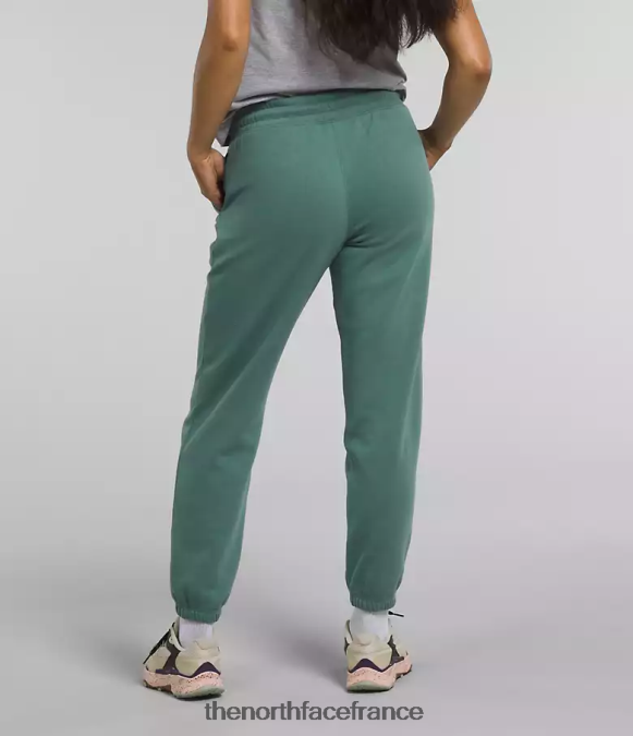 vêtements The North Face femmes pantalon de survêtement en molleton à demi-dôme sauge foncée/blanc tnf ZPZRD976