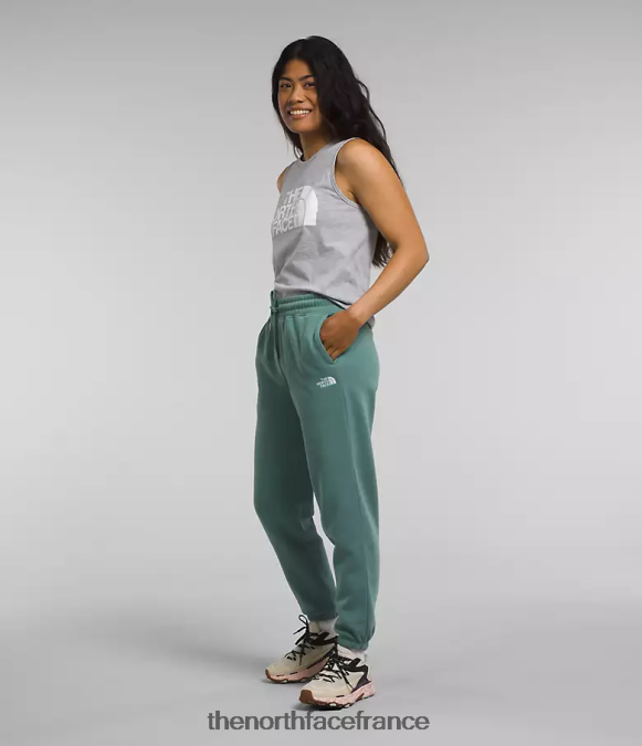 vêtements The North Face femmes pantalon de survêtement en molleton à demi-dôme sauge foncée/blanc tnf ZPZRD976