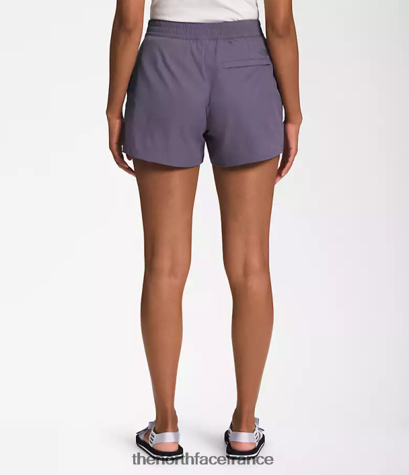 vêtements The North Face femmes short standard ardoise lunaire ZPZRD683