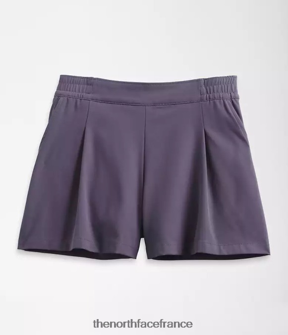 vêtements The North Face femmes short standard ardoise lunaire ZPZRD683