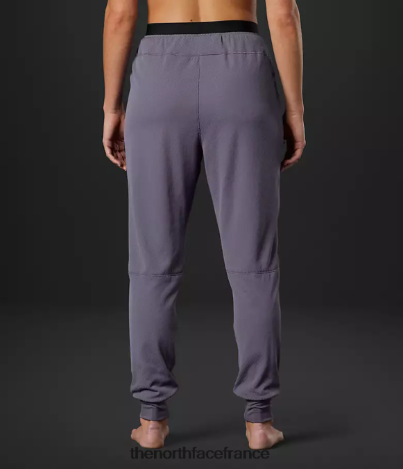 vêtements The North Face femmes pantalon polaire future série summit ardoise lunaire ZPZRD898