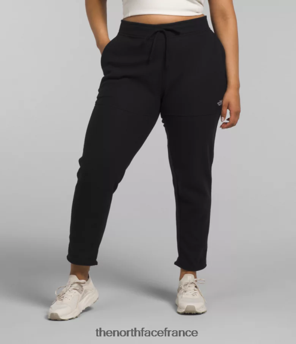 vêtements The North Face femmes plus pantalon alpin polartec 100 tnf noir ZPZRD252