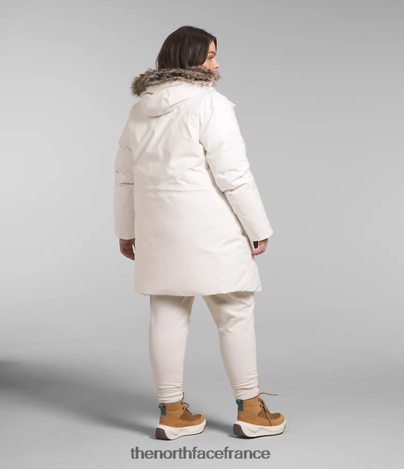 vêtements The North Face femmes plus une parka arctique gardénia blanc ZPZRD967