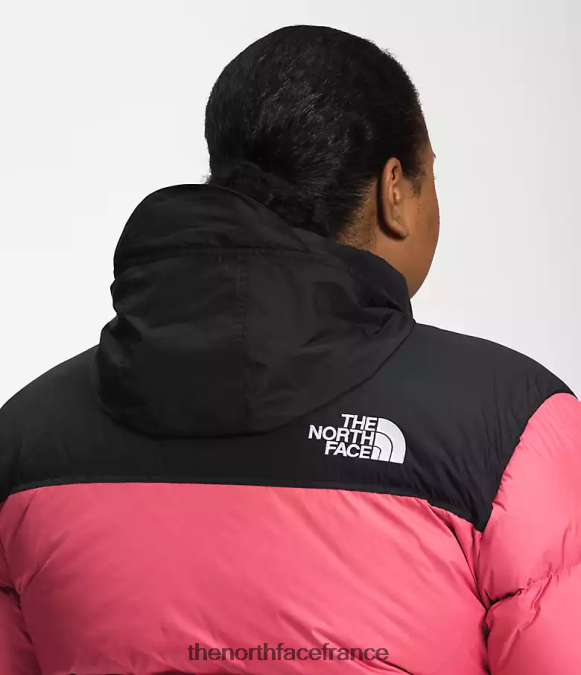 vêtements The North Face femmes plus veste nuptse rétro 1996 cosmos rose ZPZRD799