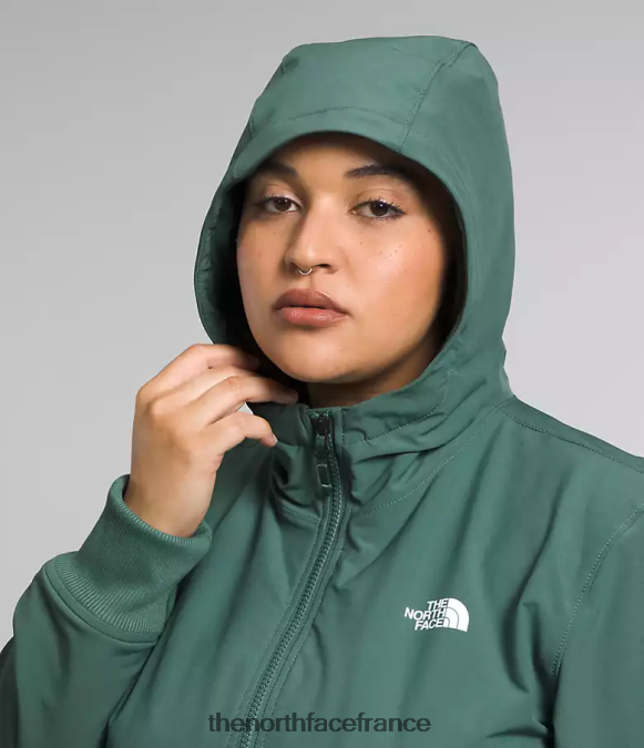 vêtements The North Face femmes sweat à capuche shelbe raschel sauge noire ZPZRD245