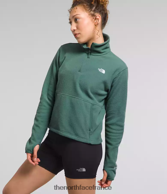 vêtements The North Face femmes capot alpin polartec 100 -zip sauge noire ZPZRD157