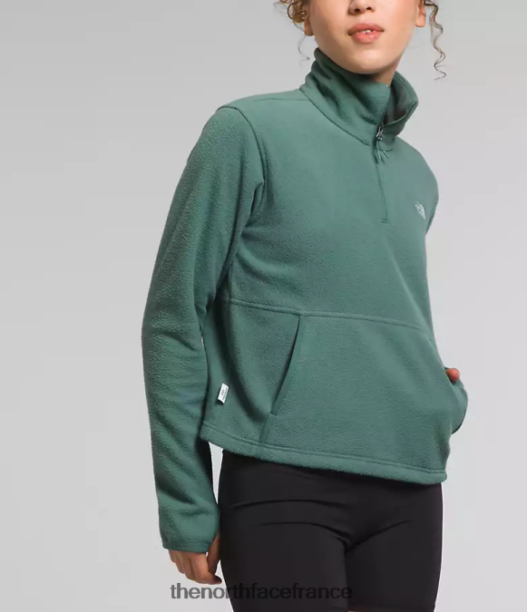 vêtements The North Face femmes capot alpin polartec 100 -zip sauge noire ZPZRD157