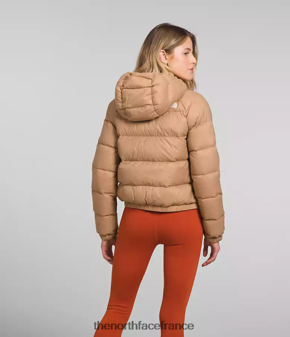 vêtements The North Face femmes sweat à capuche en duvet hydrenalite beurre d'amande ZPZRD892