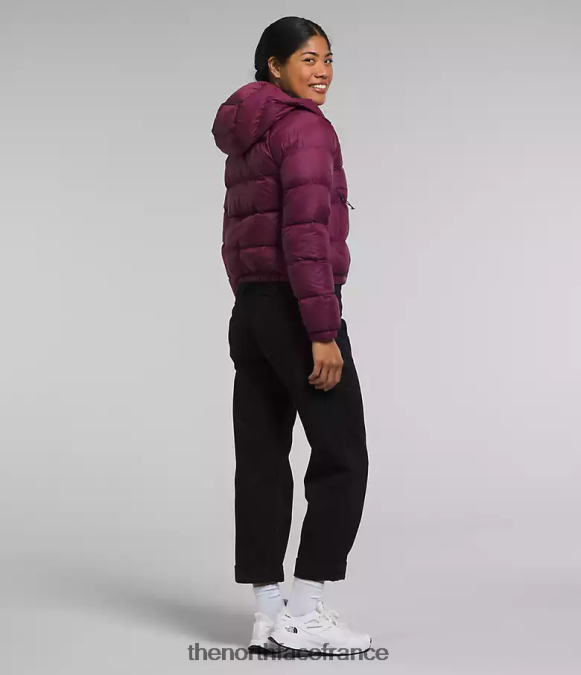 vêtements The North Face femmes sweat à capuche en duvet hydrenalite mûre de Boysen ZPZRD893