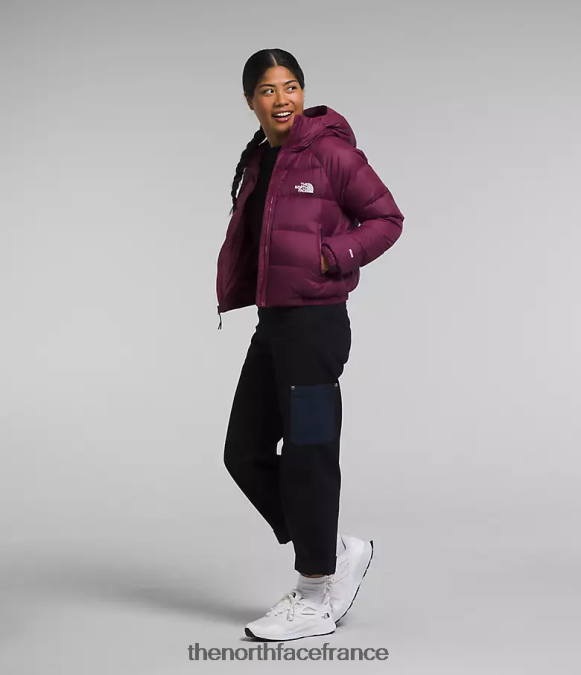vêtements The North Face femmes sweat à capuche en duvet hydrenalite mûre de Boysen ZPZRD893