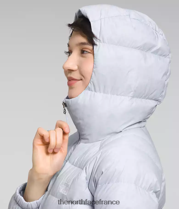 vêtements The North Face femmes sweat à capuche en duvet hydrenalite pervenche poussiéreuse ZPZRD891