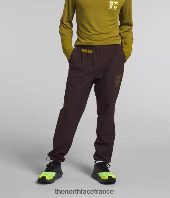 vêtements The North Face Hommes pantalon de jogging trailwear okt brun charbon ZPZRD216