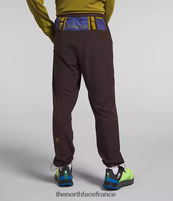 vêtements The North Face Hommes pantalon de jogging trailwear okt brun charbon ZPZRD216