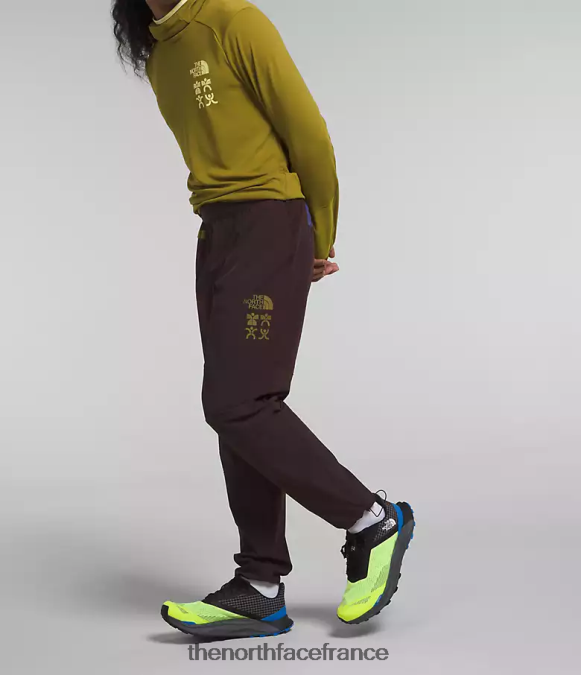 vêtements The North Face Hommes pantalon de jogging trailwear okt brun charbon ZPZRD216
