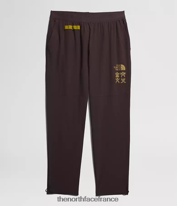 vêtements The North Face Hommes pantalon de jogging trailwear okt brun charbon ZPZRD216