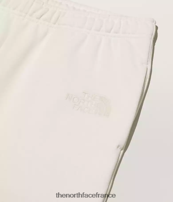 vêtements The North Face Hommes pantalon de survêtement tnf x kaws ivoire clair de lune ZPZRD551