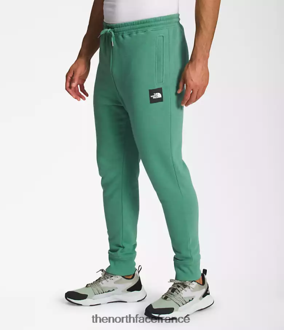 vêtements The North Face Hommes boxe nse joggers vert herbe foncé/noir tnf ZPZRD1041
