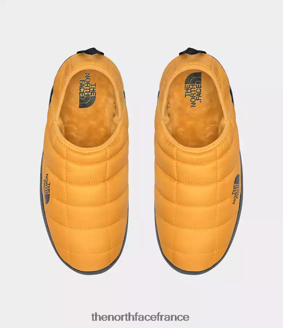 chaussure The North Face Hommes mules de traction thermoball v sommet or/tnf noir ZPZRD1131