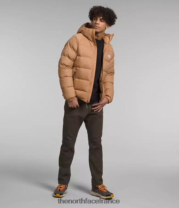 vêtements The North Face Hommes sweat à capuche en duvet hydrenalite beurre d'amande ZPZRD641