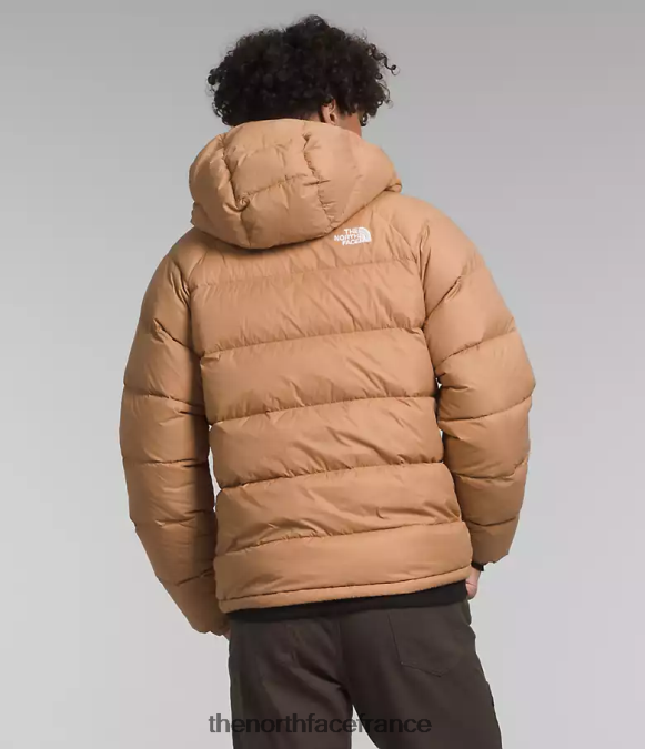 vêtements The North Face Hommes sweat à capuche en duvet hydrenalite beurre d'amande ZPZRD641