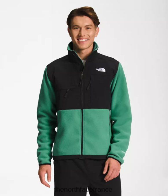vêtements The North Face Hommes veste denali vert herbe profonde ZPZRD197
