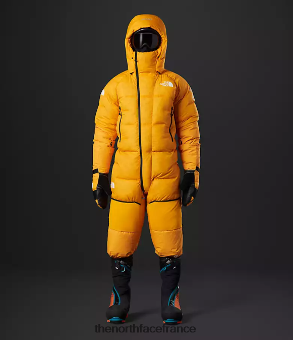 vêtements The North Face Hommes costume himalayen or du sommet ZPZRD869