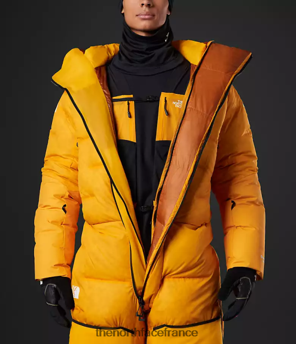vêtements The North Face Hommes costume himalayen or du sommet ZPZRD869
