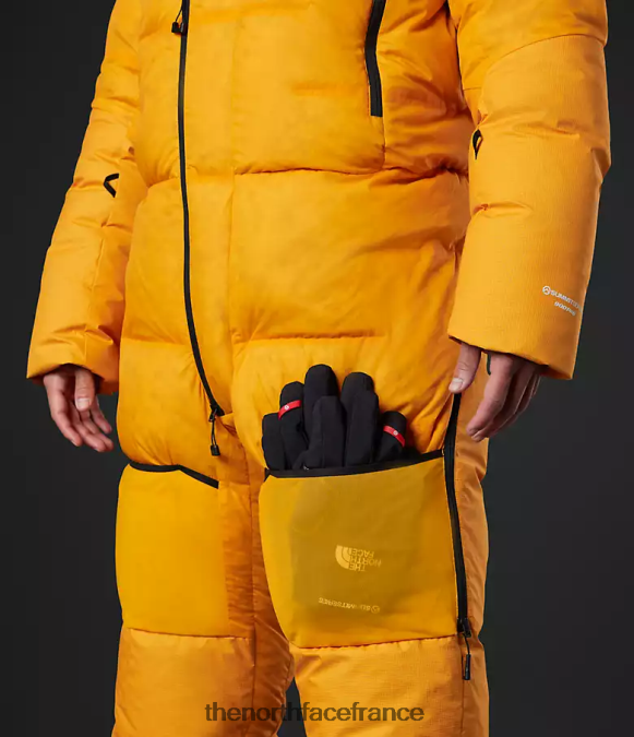 vêtements The North Face Hommes costume himalayen or du sommet ZPZRD869