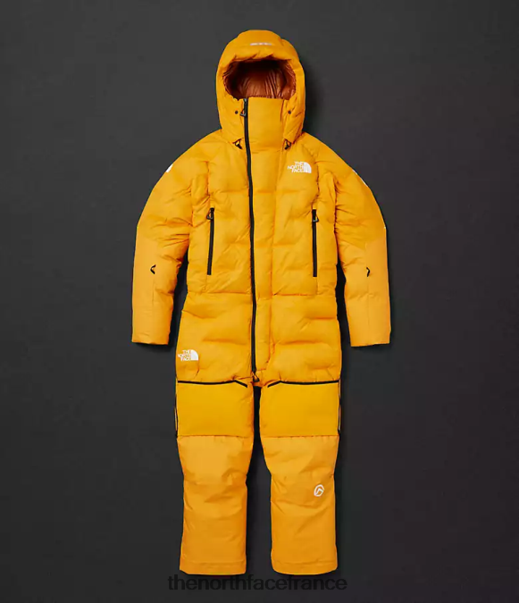 vêtements The North Face Hommes costume himalayen or du sommet ZPZRD869