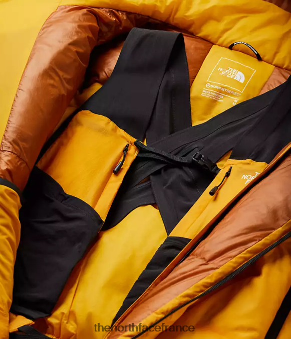 vêtements The North Face Hommes costume himalayen or du sommet ZPZRD869