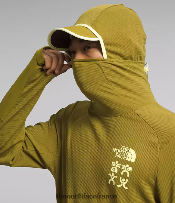 vêtements The North Face Hommes sweat à capuche trailwear cerro alto mousse de soufre ZPZRD550