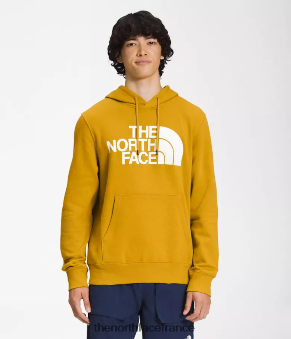 vêtements The North Face Hommes sweat à capuche demi-dôme bois de flèche jaune ZPZRD114