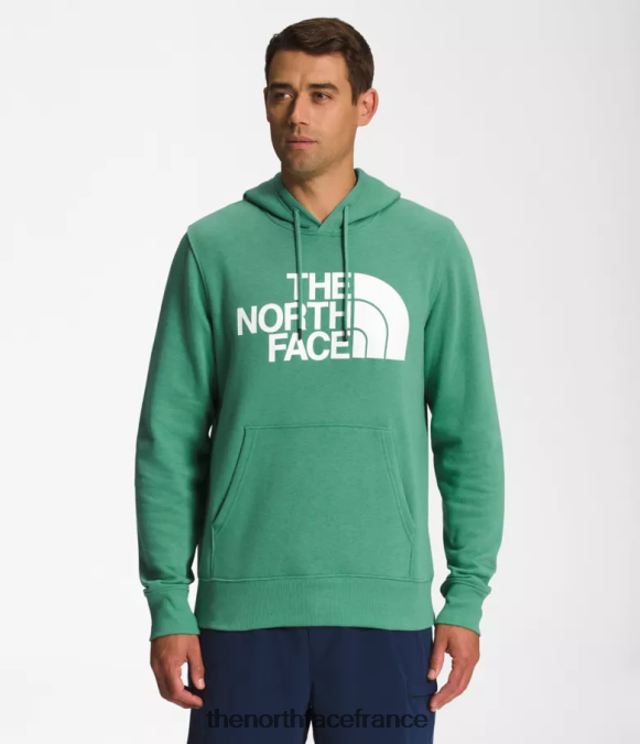 vêtements The North Face Hommes sweat à capuche demi-dôme vert herbe foncé/blanc tnf ZPZRD109