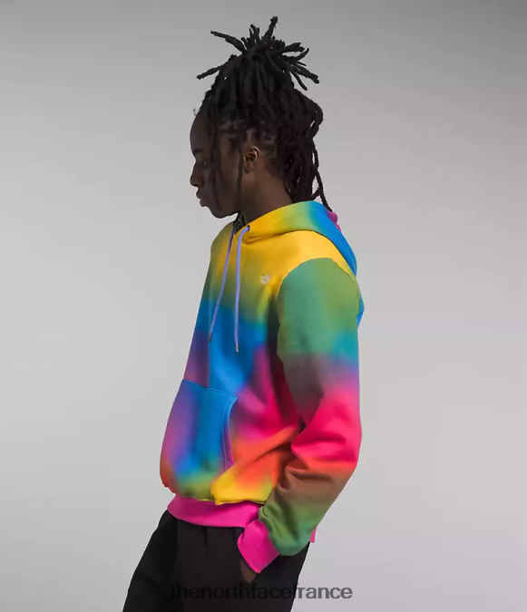 vêtements The North Face Hommes sweat à capuche imprimé imprimé dégradé bleu super sonique ZPZRD654