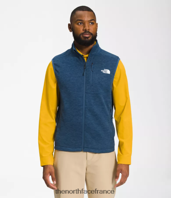 vêtements The North Face Hommes gilet canyonlands bruyère bleue ombragée ZPZRD97