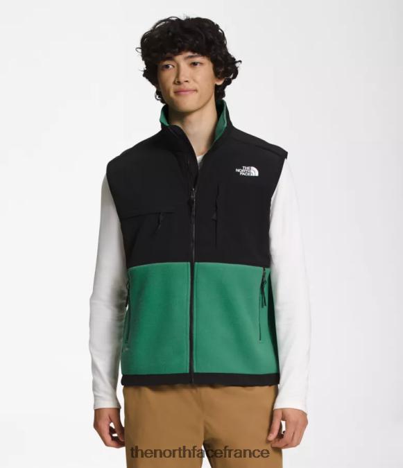 vêtements The North Face Hommes gilet denali vert herbe profonde ZPZRD601