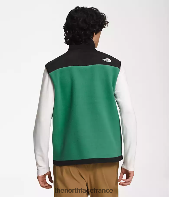vêtements The North Face Hommes gilet denali vert herbe profonde ZPZRD601
