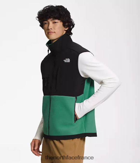 vêtements The North Face Hommes gilet denali vert herbe profonde ZPZRD601