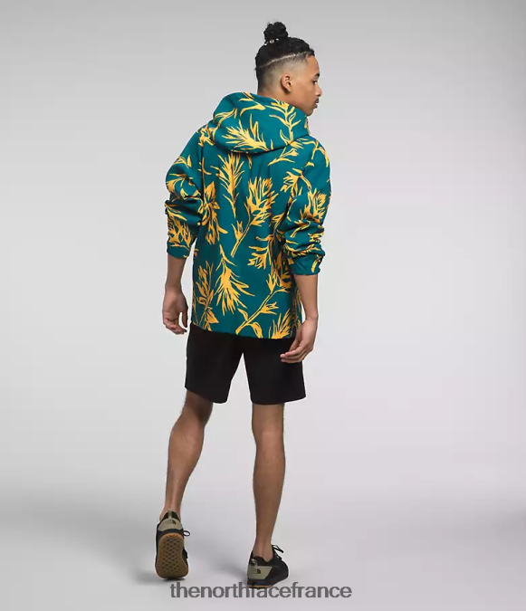 vêtements The North Face Hommes pull classe v imprimé pinceau tropical corail bleu ZPZRD593