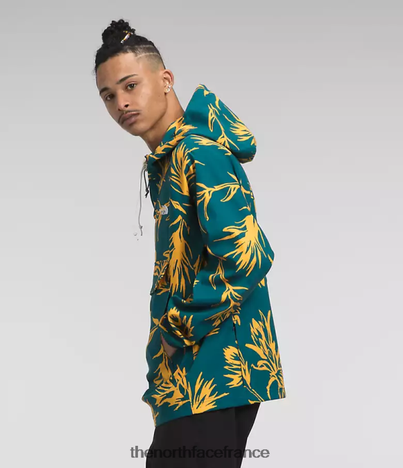 vêtements The North Face Hommes pull classe v imprimé pinceau tropical corail bleu ZPZRD593
