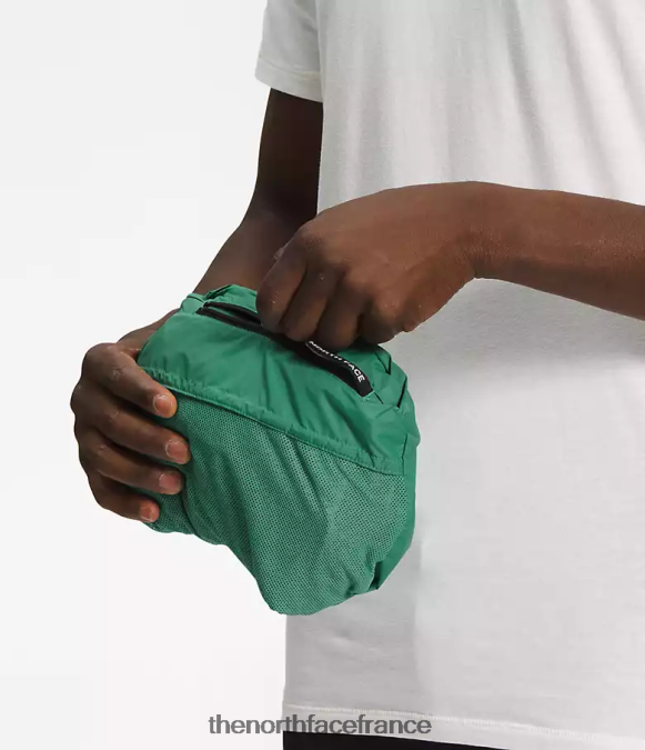 vêtements The North Face Hommes veste alta vista vert herbe profonde ZPZRD1248