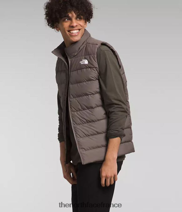 vêtements The North Face Hommes gilet aconcagua 3 faucon brun ZPZRD992