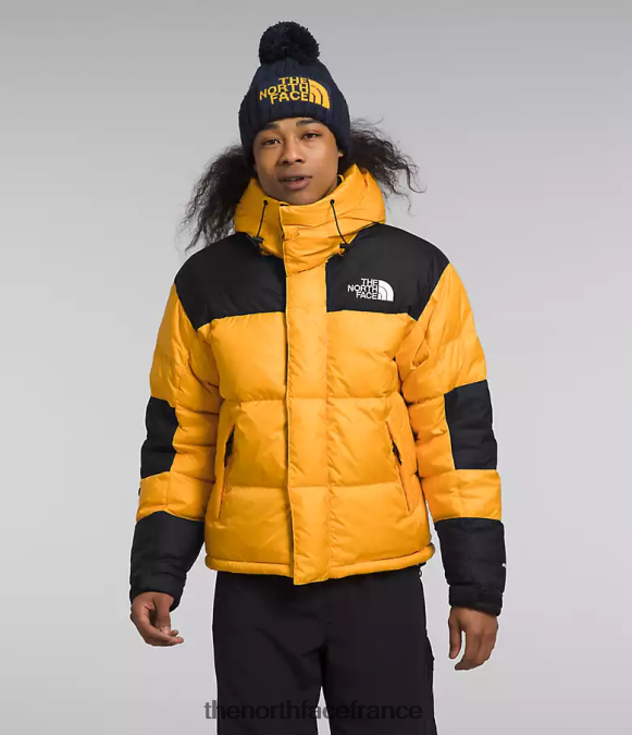 vêtements The North Face Hommes veste hmlyn baltoro sommet or/tnf noir ZPZRD1004