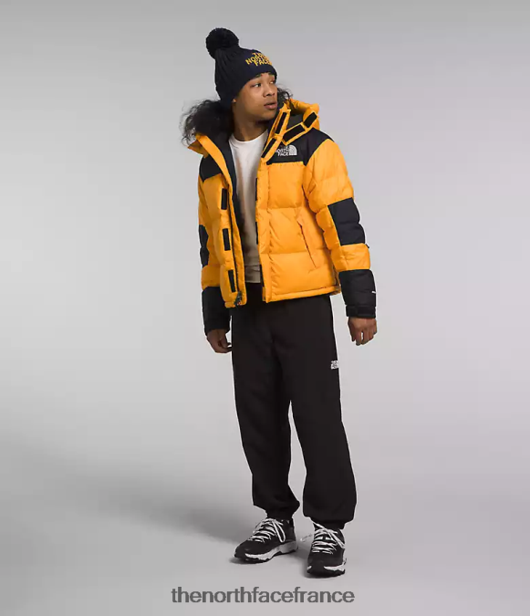 vêtements The North Face Hommes veste hmlyn baltoro sommet or/tnf noir ZPZRD1004
