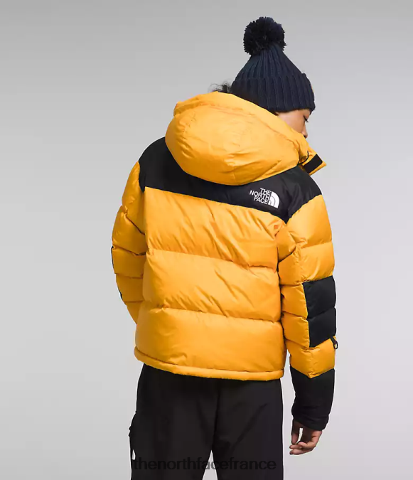 vêtements The North Face Hommes veste hmlyn baltoro sommet or/tnf noir ZPZRD1004